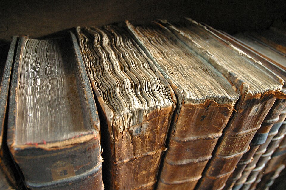 Old book bindings at a library