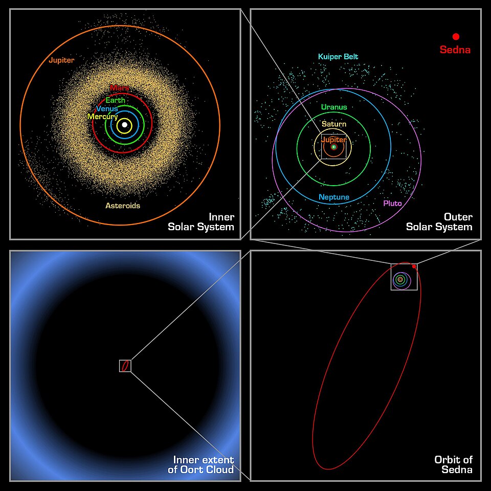 Relation of the Oort cloud to the solar system