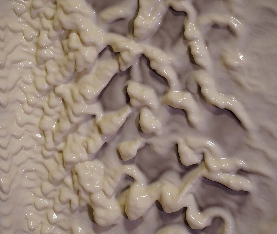 Paint is a non-Newtonian fluid. In non-Newtonian fluids, viscosity varies with the stress they are exposed to. Paint that is under low stress will behave differently from paint that is under high stress. When a surface with paint turned from horizontal to vertical orientation, it will be exposed to stress from gravitation. Therefore, instead of slipping along the surface, it forms very large drops, that are very dense and almost solid. This creates the great effect that can be seen in the figure.