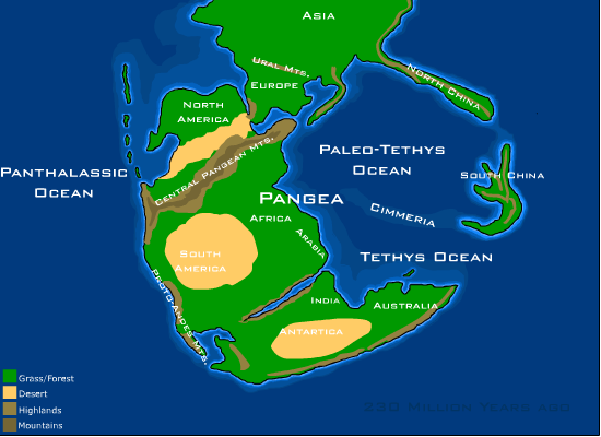 Another view of Pangaea in the early Triassic. It makes the point that some of the land areas had large deserts at their centre.