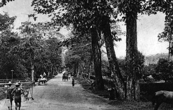Orchard Road in the 1900s