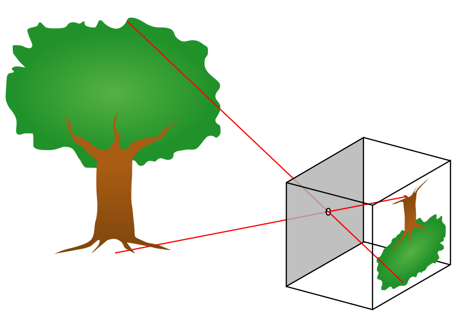 Principle of a pinhole camera. Light rays from an object pass through a small hole to form an image.
