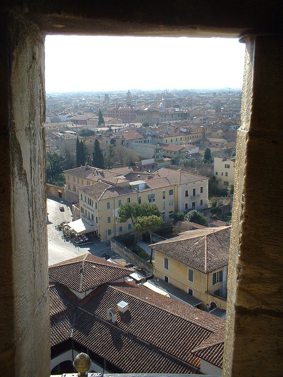 The city of Pisa, seen from the tower
