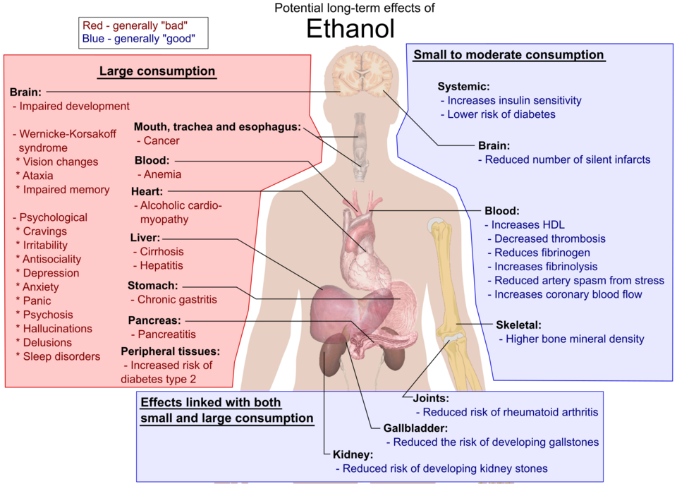 Possible long term side effects in humans