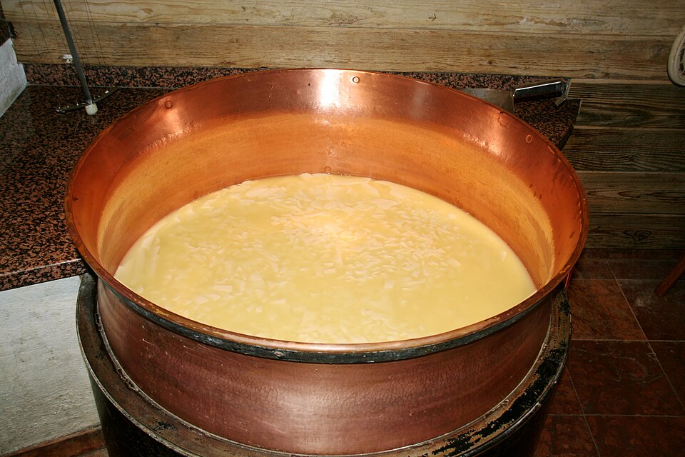 Fermentation of cheese