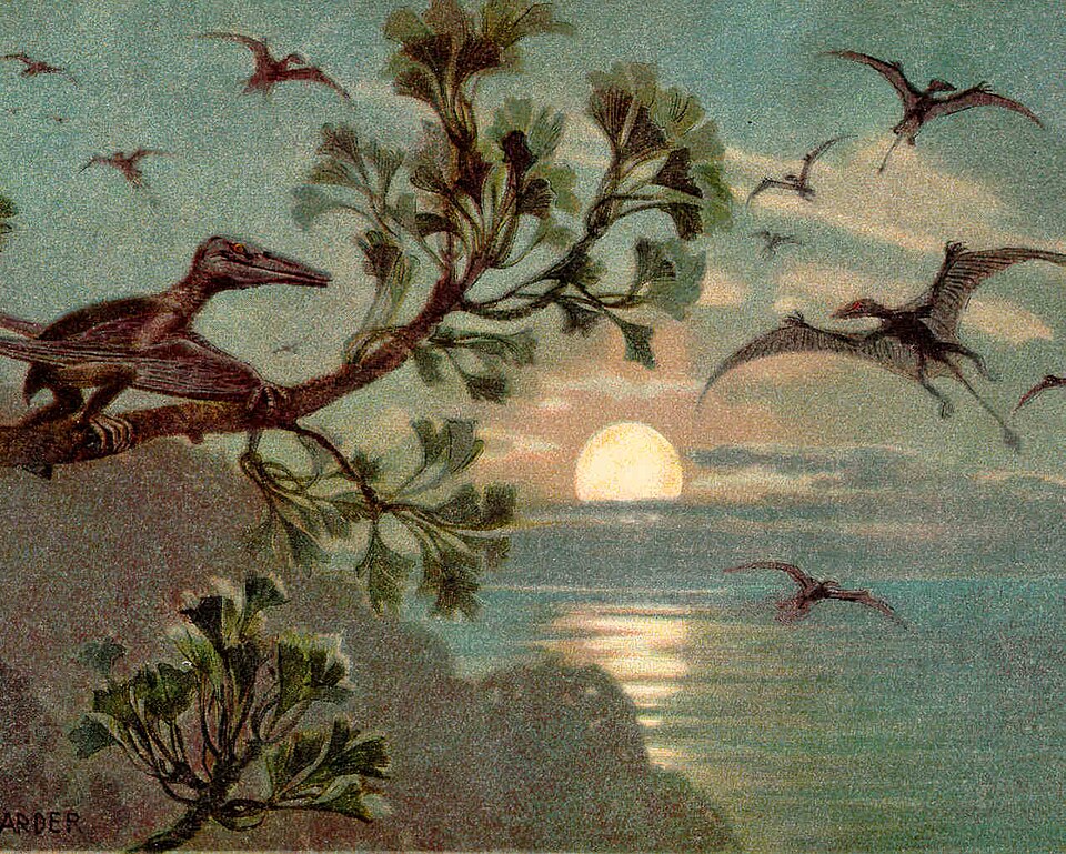 Several Rhamphorhynchus (flying) and a perching Pterodactylus, by Heinrich Harder, 1916.