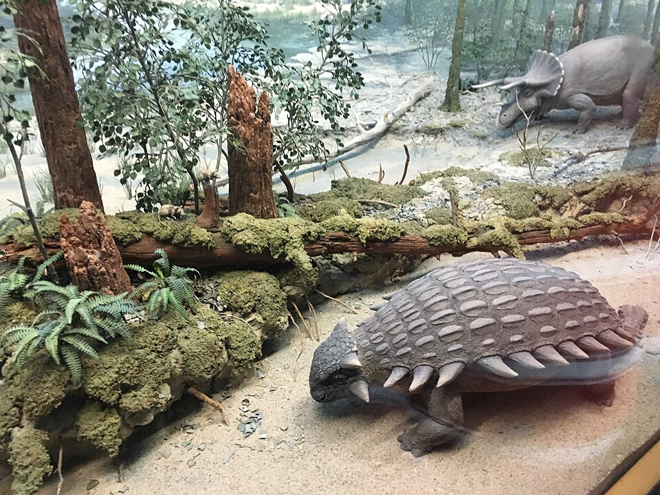 Replica of the 1964 World's Fair Ankylosaurus (note spikes and dragging tail), Royal Alberta Museum