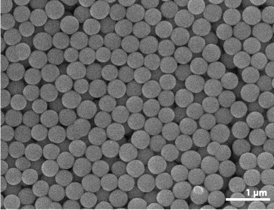 SEM image of a colloid.