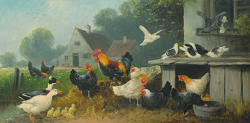 Poultry, on an image by Otto Scheuerer.