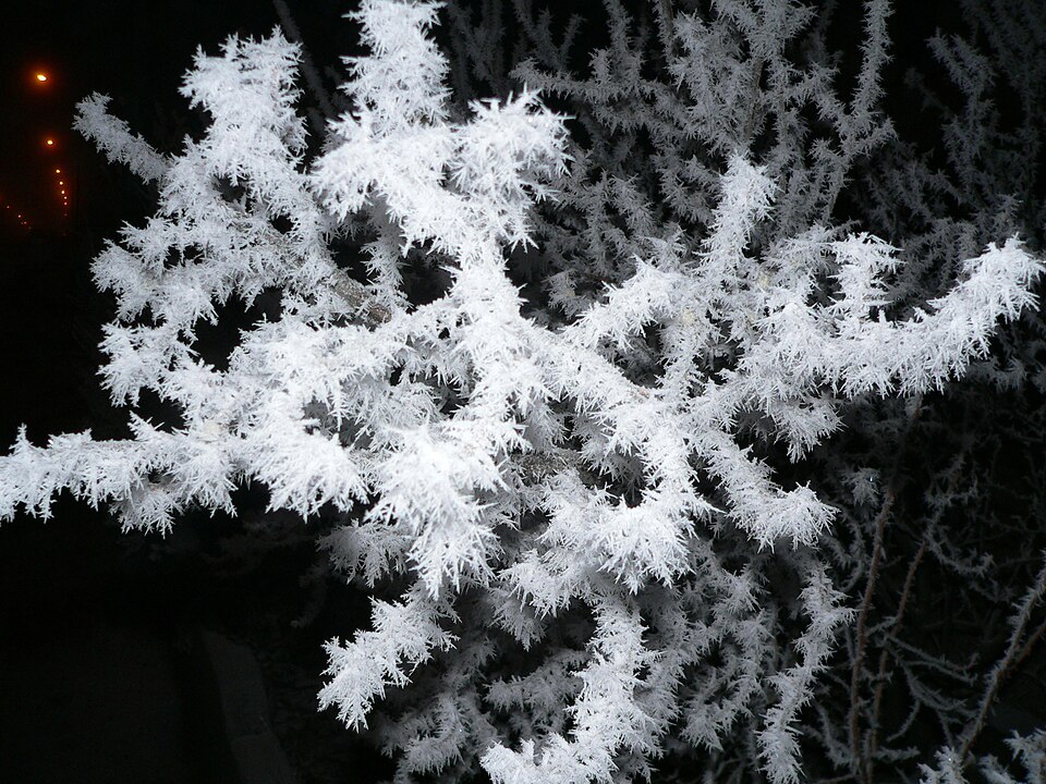 Snow that is going through crystallization.