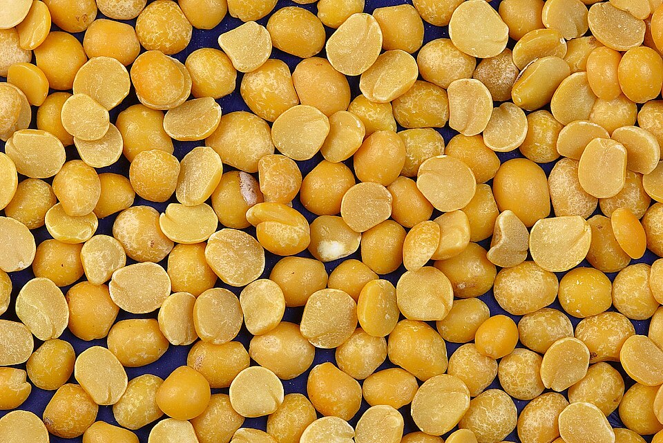 Dry, yellow split peas