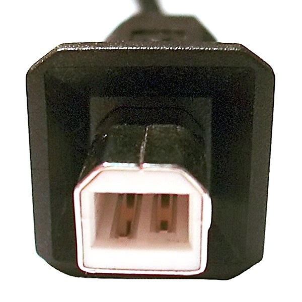 Full sized USB-B plug