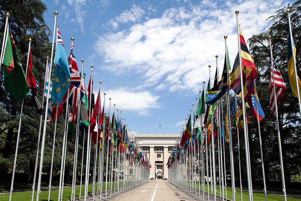 United Nations members' national flags
