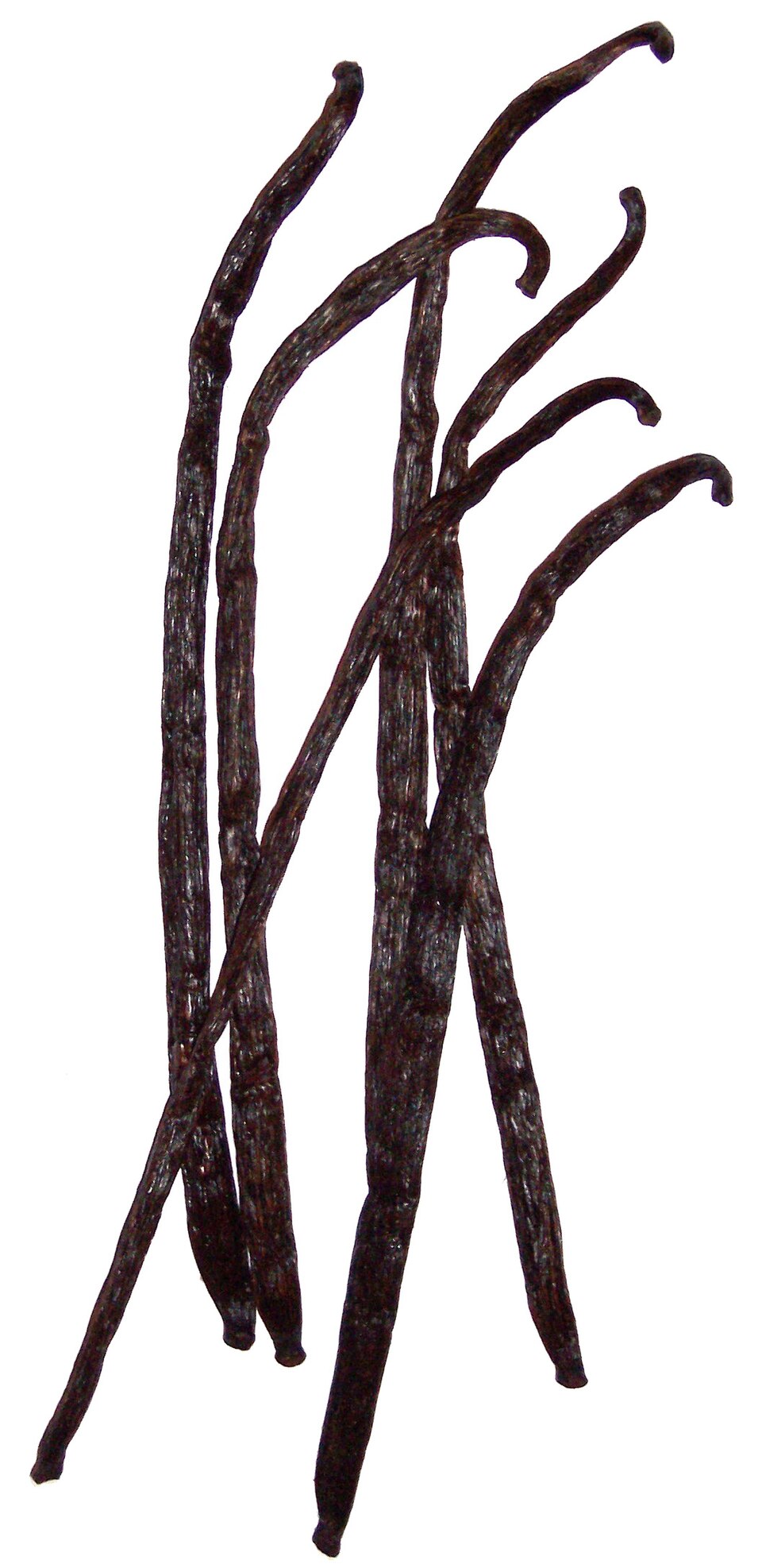 Vanilla beans