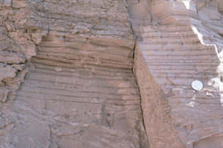 These are annual varves in limestone. Pleistocene strata, Scarboro Cliffs, Toronto, Ontario, Canada