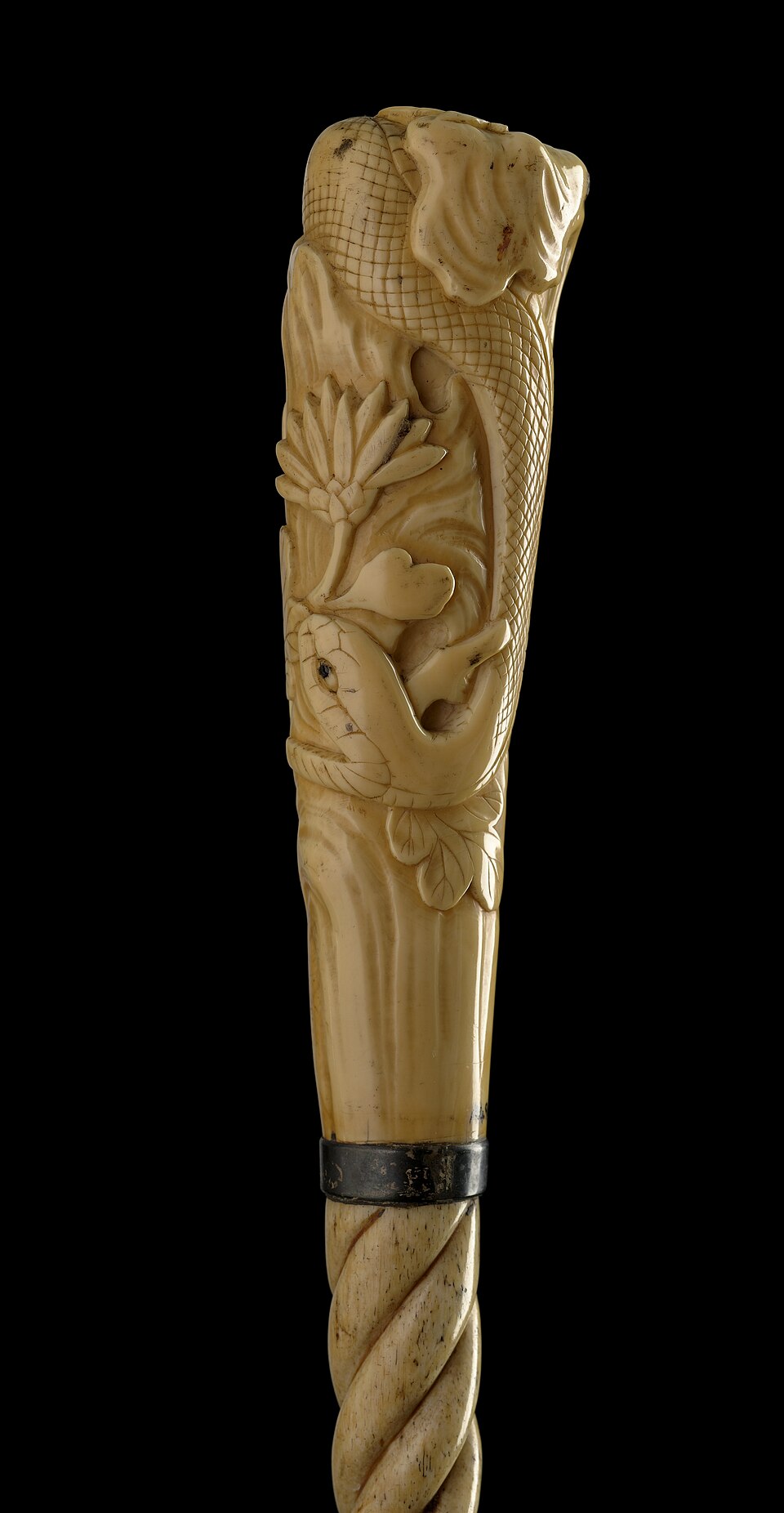 {{Center|Charles Darwin's walking stick}}