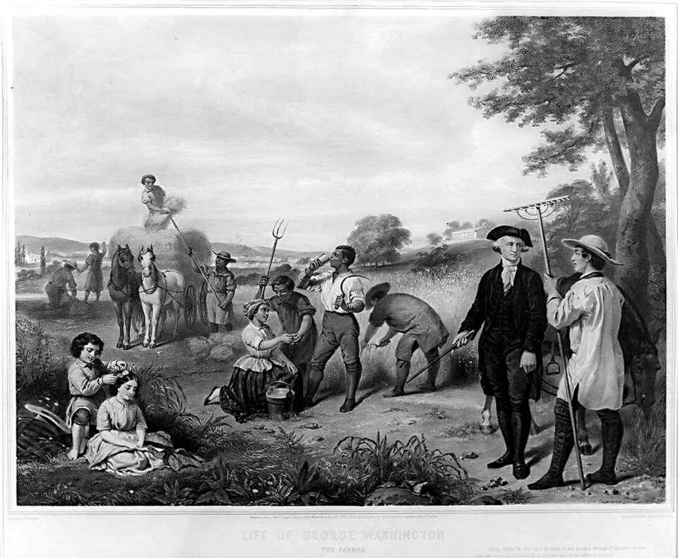 George Washington overseeing slaves during harvest time on his plantation