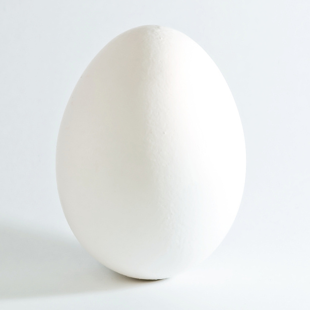 The egg from a chicken.